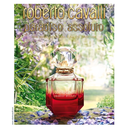 عطر روبرتو كافالي باراديسو اسولوتو اودو بيرفيوم 75 مل